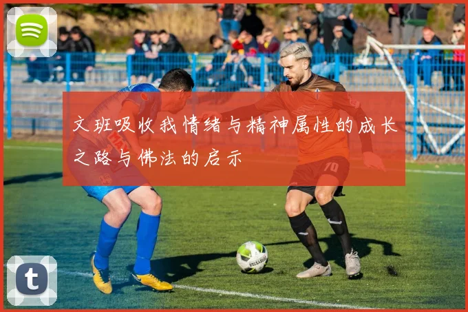 文班吸收我情绪与精神属性的成长之路与佛法的启示